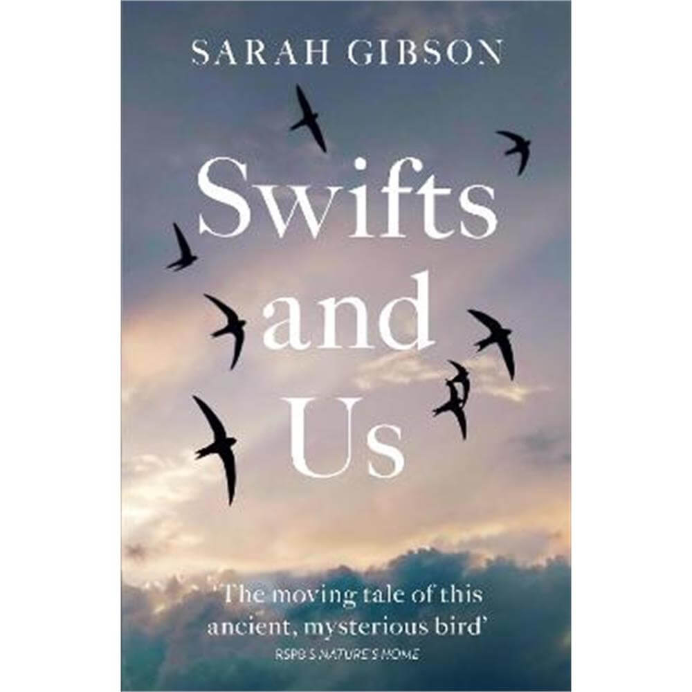 Swifts and Us: The Life of the Bird that Sleeps in the Sky (Paperback) - Sarah Gibson
